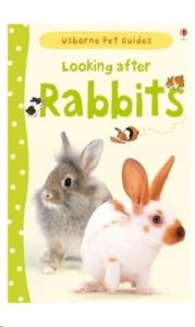 9781409532439 #1. Looking After Rabbits