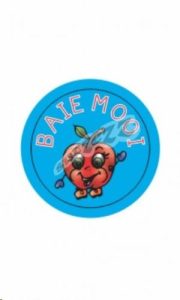 6009653406362 #1. Stickers: Baie Mooi