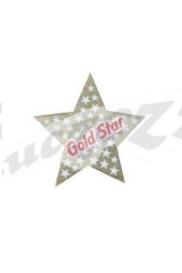 6009653406287 #1. Sticker: Gold Star