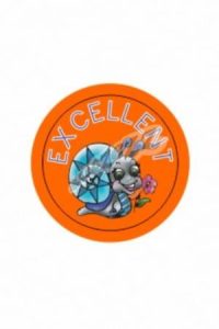 6009653406539 #1. Stickers: Excellent
