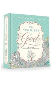 9781629990927 #1. Promise Bible