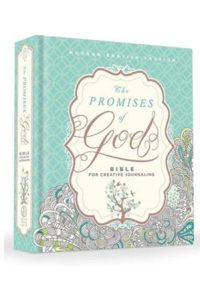 9781629990927 #1. Promise Bible