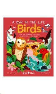 9781838992705 #1. A Day In The Life: Birds