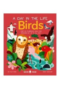 9781838992705 #1. A Day In The Life: Birds