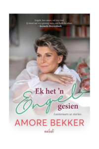 book cover template - 2025-04-16t151228.512. Ek Het n Engel Gesien