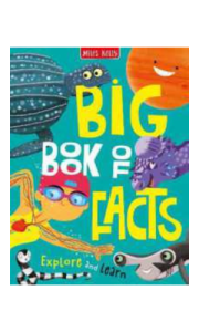 book cover template - 2025-07-02t111632.169. Big Book Of Facts