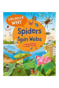 book cover template - 2025-09-22t114308.620. I Wonder Whay Spiders Spin Webs