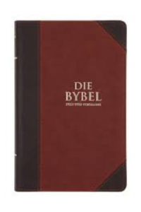 book cover template - 2025-09-19t113332.986. Die Bybel 1933/1953 Vertaling